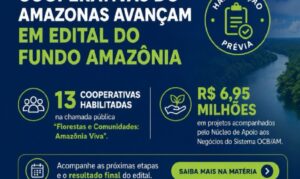 Propostas aprovadas em etapa inicial unem preservação ambiental e desenvolvimento econômico com foco na bioeconomia amazônica.
