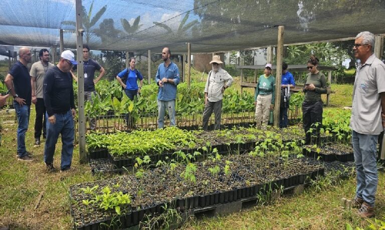 Diálogo entre Embrapa e startup Remata Agroflorestal mira inovação no campo.