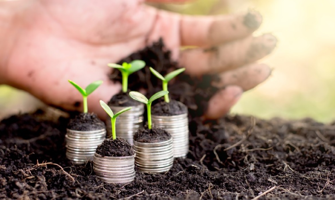 Texto cria fundo com recursos públicos para ampliar a proteção ao produtor e fortalecer o setor agropecuário.