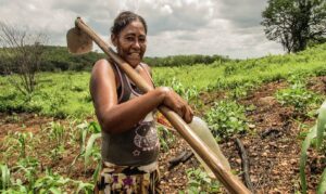 Crédito e tecnologia: as ferramentas essenciais para a autonomia econômica feminina no campo.