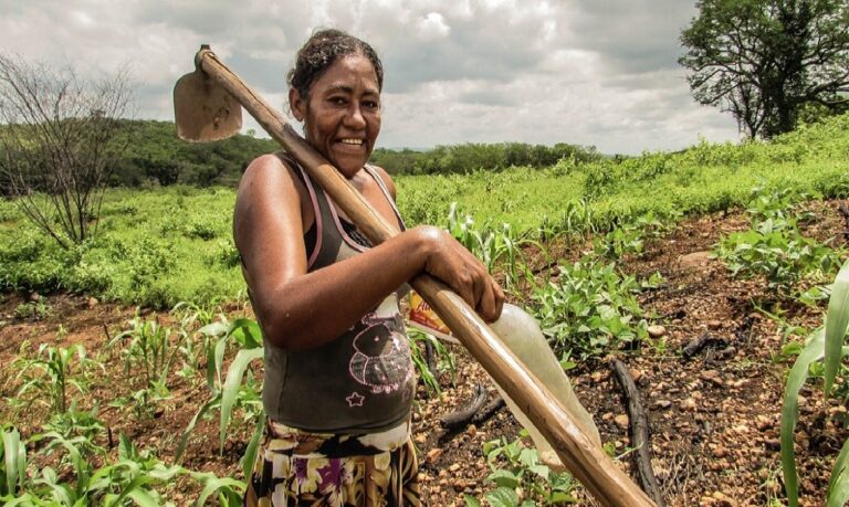 Crédito e tecnologia: as ferramentas essenciais para a autonomia econômica feminina no campo.