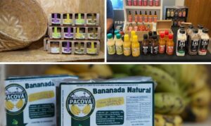 Produtores de nove estados transformam produção local em vitrine nacional.