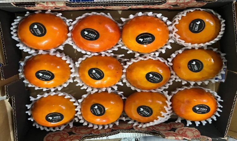 Entrada do Caqui Brasileiro na Costa Rica reforça avanço das frutas nacionais no mercado internacional.