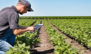 Projeto busca reconhecer o papel desses profissionais no fortalecimento das comunidades do campo.