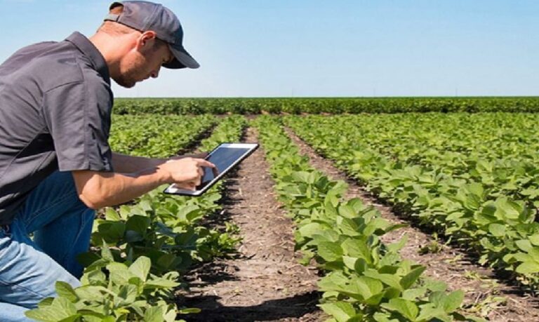 Projeto busca reconhecer o papel desses profissionais no fortalecimento das comunidades do campo.