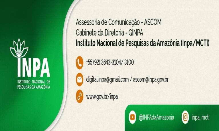 Pesquisa revela que o maior desafio para a árvore da campinarana é o alagamento prolongado.