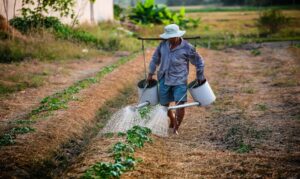 Parlamentares, especialistas e representantes do agro discutem medidas para fortalecer o Setor Produtivo brasileiro.