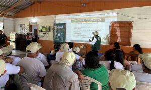 Tecnologia que Brota da Terra- Produtores de fruticultura aprendem técnicas para elevar a produtividade e a renda no Médio Solimões.