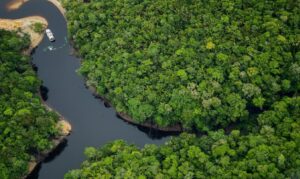 Texto aprovado pela comissão busca unir preservação ambiental, renda e valorização das tradições locais.
