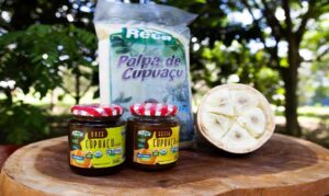 Cooperativa aposta na Feira de Produtos Orgânicos para fortalecer negócios, parcerias e novos mercados.