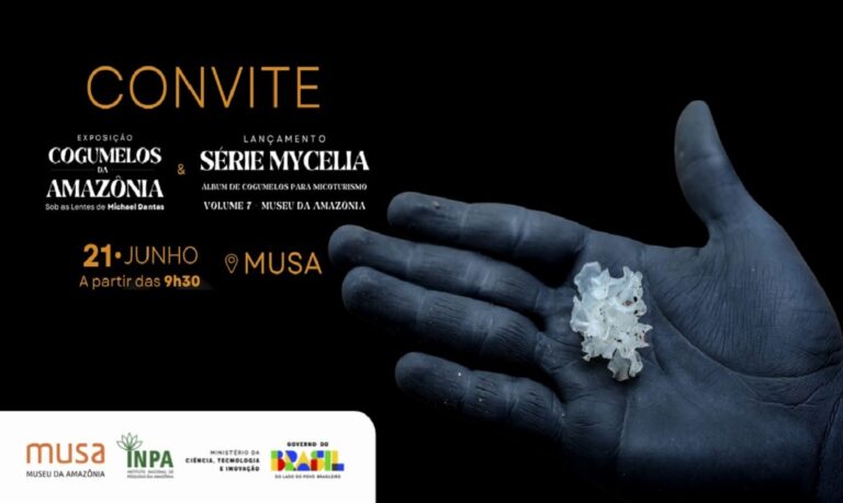 Exposição e lançamento de livro destacam o potencial do micoturismo como ferramenta de conhecimento, conservação e Educação Ambiental na Amazônia.