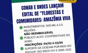 Mão estendida - Sistema OCB/AM oferece suporte técnico especializado para que nenhuma boa ideia fique sem financiamento por falta de projeto.