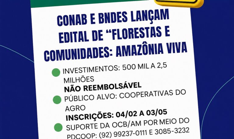 Mão estendida - Sistema OCB/AM oferece suporte técnico especializado para que nenhuma boa ideia fique sem financiamento por falta de projeto.