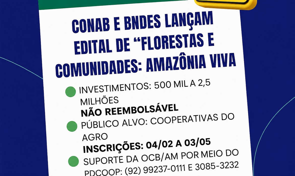 Mão estendida - Sistema OCB/AM oferece suporte técnico especializado para que nenhuma boa ideia fique sem financiamento por falta de projeto.