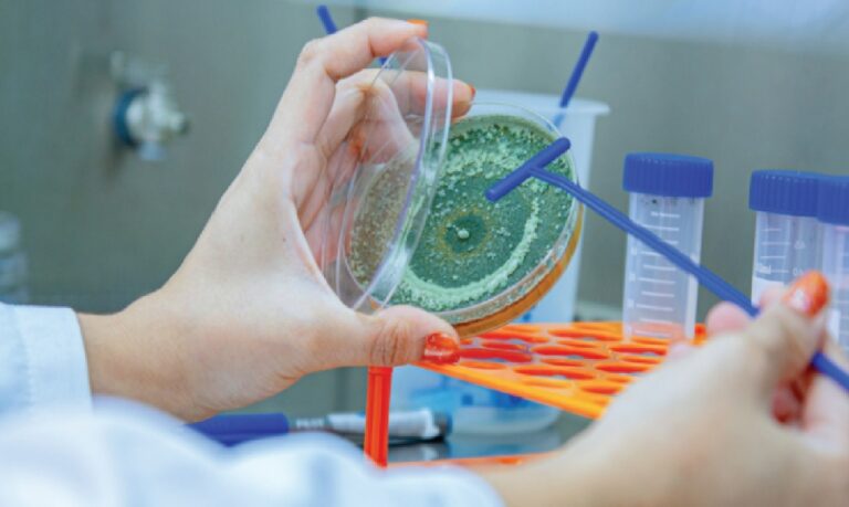 Tecnologia de origem biológica reduz a dependência de produtos químicos e fortalece a sustentabilidade no campo.