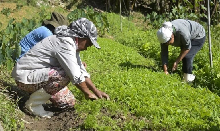 Embargos e apreensões só poderão ser aplicados após o prazo de adequação previsto no projeto.