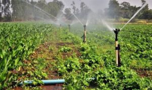 Proposta prevê crédito com juros reduzidos para infraestrutura hídrica, como poços e barragens.