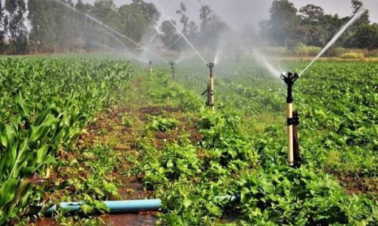 Proposta prevê crédito com juros reduzidos para infraestrutura hídrica, como poços e barragens.