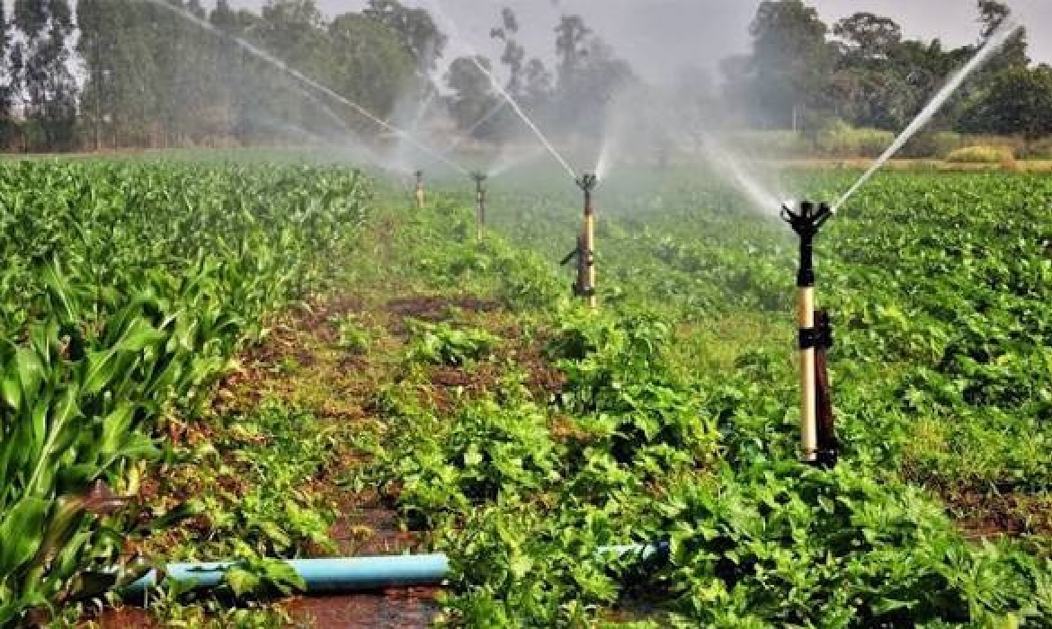 Proposta prevê crédito com juros reduzidos para infraestrutura hídrica, como poços e barragens.