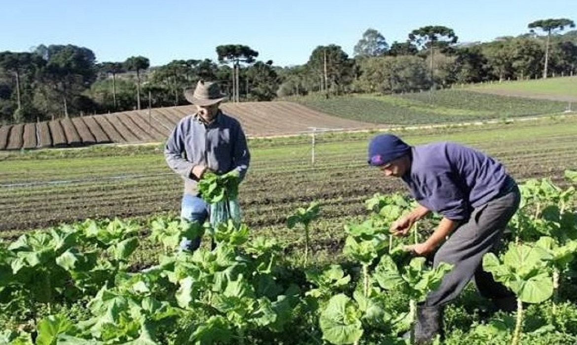 A Comissão de Constituição e Justiça deu aval ao projeto que cria selos para identificar e valorizar produtos da agricultura familiar em todo o país.