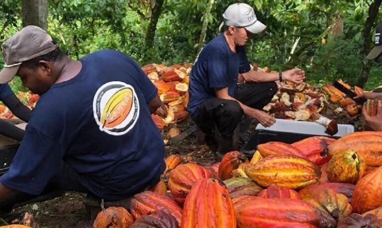 A medida pretende valorizar o trabalho dos Produtores de Cacau, estimular o desenvolvimento da cadeia produtiva e fortalecer o setor no país.