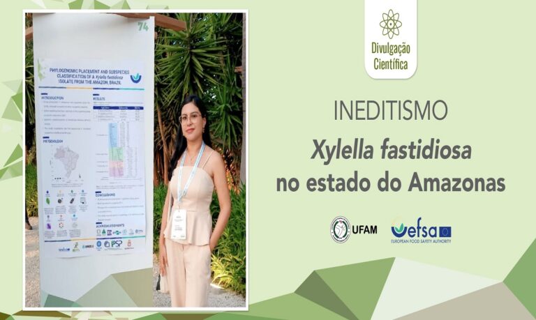 Doutoranda sequencia pela primeira vez o genoma da bactéria Xylella fastidiosa isolada no Amazonas.