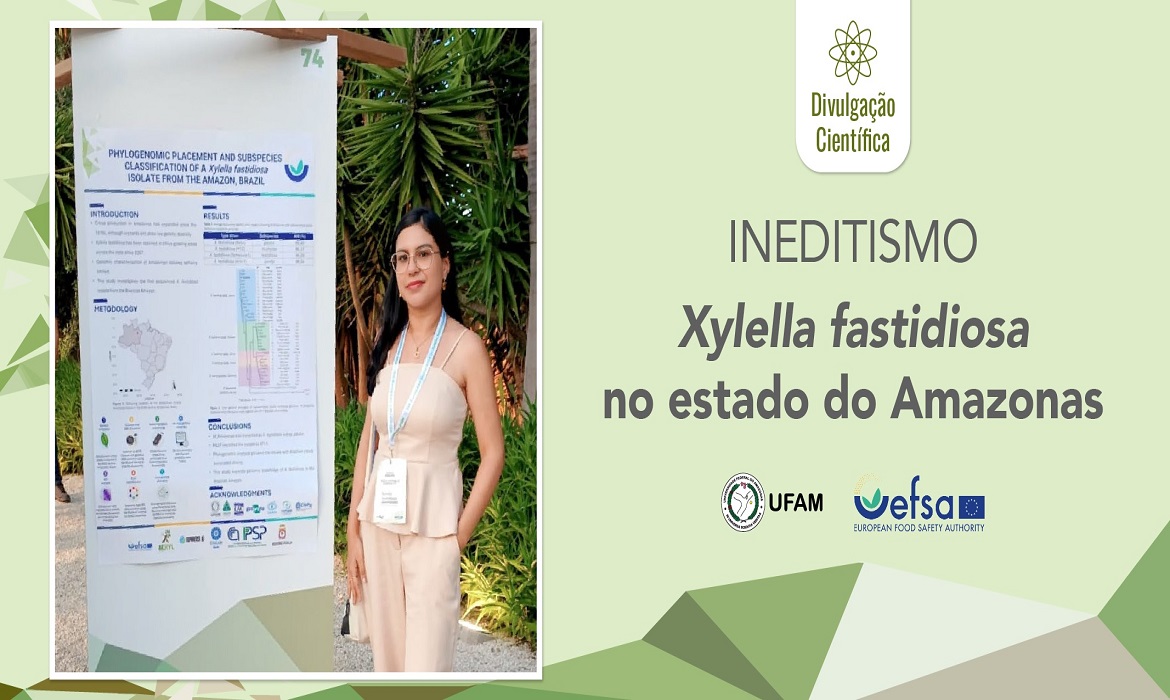 Doutoranda sequencia pela primeira vez o genoma da bactéria Xylella fastidiosa isolada no Amazonas.
