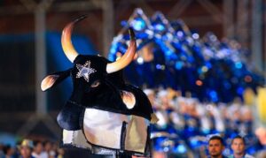 Dualidade em cores - exposição destaca a paixão vermelha e azul que envolve o universo do Boi Bumbá.