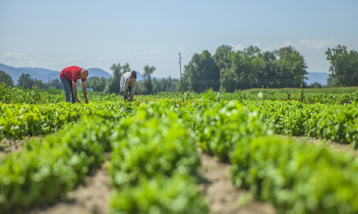 Premiação busca destacar soluções que tornem a agropecuária sustentável mais eficiente, competitiva e alinhada aos desafios do futuro.