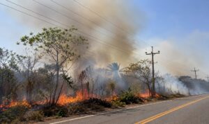 Temperaturas elevadas exigem atenção redobrada para evitar incêndios próximos à rede elétrica e novos prejuízos à população.