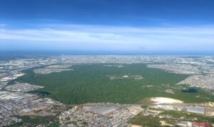 Futuro sob Pressão Urbana - Sem corredores ecológicos que o conectem a outras matas, o ecossistema sofre com o isolamento extremo e com o risco de ocupações irregulares no entorno.