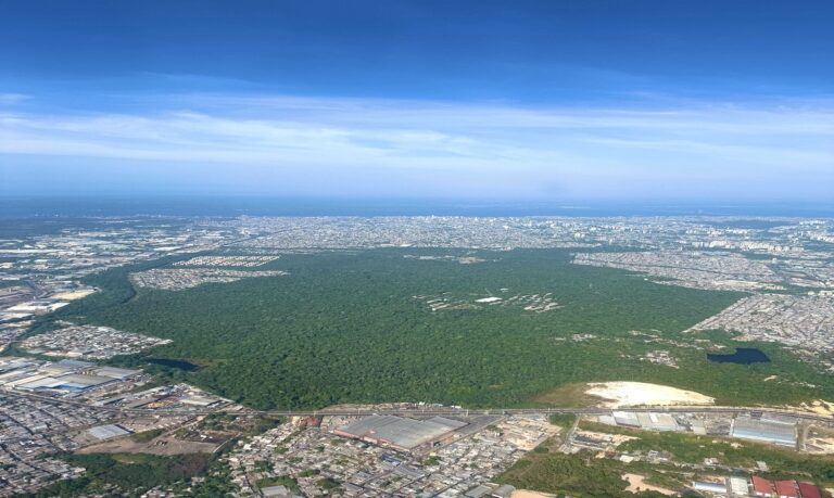 Futuro sob Pressão Urbana - Sem corredores ecológicos que o conectem a outras matas, o ecossistema sofre com o isolamento extremo e com o risco de ocupações irregulares no entorno.