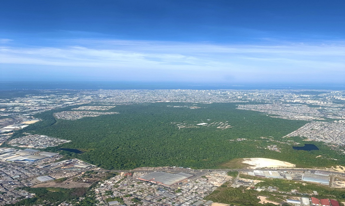 Futuro sob Pressão Urbana - Sem corredores ecológicos que o conectem a outras matas, o ecossistema sofre com o isolamento extremo e com o risco de ocupações irregulares no entorno.