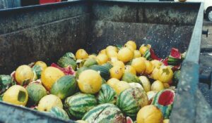 Cascas, talos, folhas, sementes e sobras podem ganhar novas receitas quando estão próprios para o consumo.