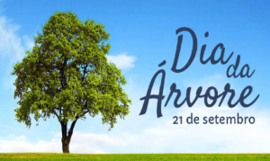 Manaus conserva grande cobertura florestal, mas ainda enfrenta desafios para levar mais árvores às ruas.