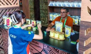 Indicação Geográfica fortalece produtos ligados à tradição, ao território e aos saberes das comunidades amazônicas.