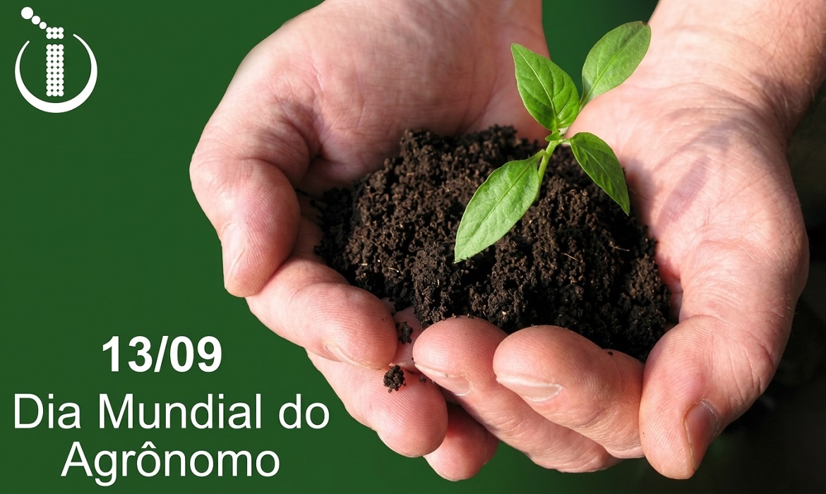 Ciência a serviço da mesa - A atuação decisiva do engenheiro agrônomo para transformar pesquisa científica em alta produtividade no campo.