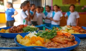 Para milhões de estudantes em vulnerabilidade social, a refeição oferecida no ambiente de ensino é a única oportunidade de nutrição equilibrada diária.
