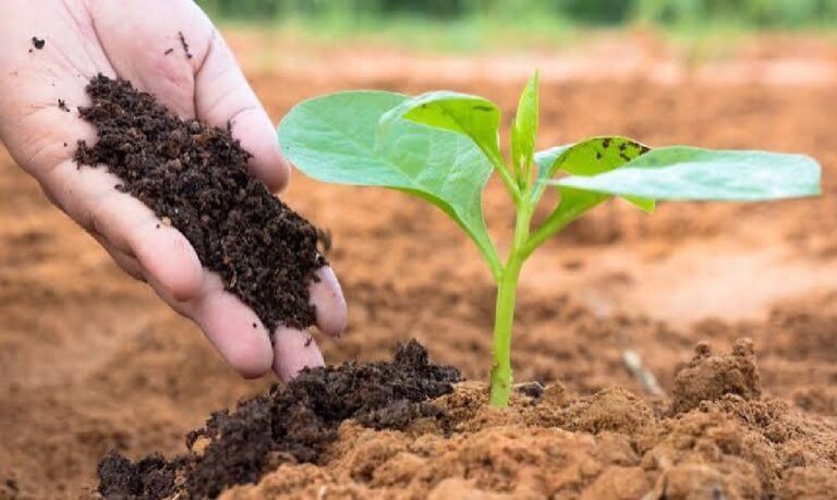 Insumos biológicos crescem 15% e tratam 194 milhões de hectares nas lavouras brasileiras.