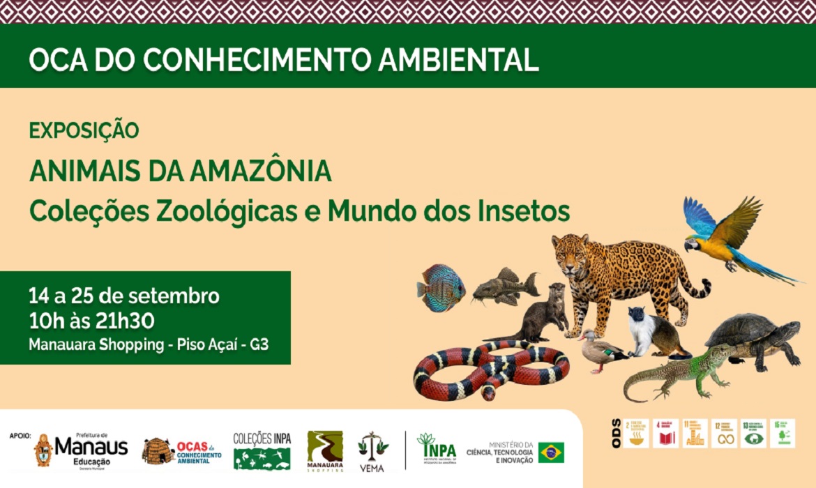 Com acervo do INPA que reúne mais de 1,2 milhão de exemplares, a mostra aproxima a população urbana da fauna regional com a presença de pesquisadores e estudantes.