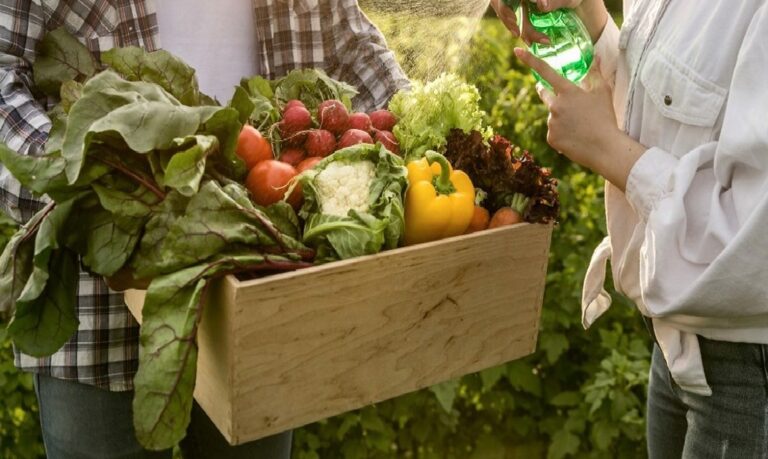 Medida pretende estimular uma agricultura mais sustentável, com menor uso de recursos naturais não renováveis.