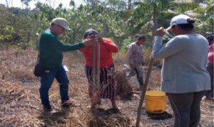 Capacitações chegaram a municípios de diversas regiões do Amazonas, ampliando o acesso ao conhecimento técnico no campo.