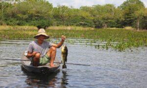A medida busca proteger agricultores familiares e comunidades tradicionais que dependem do manejo da terra e de recursos naturais para o próprio sustento.