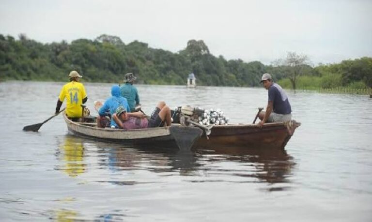 Texto cria guia eletrônica de transporte, selo sanitário simplificado e mecanismo de crédito para pescadores artesanais.