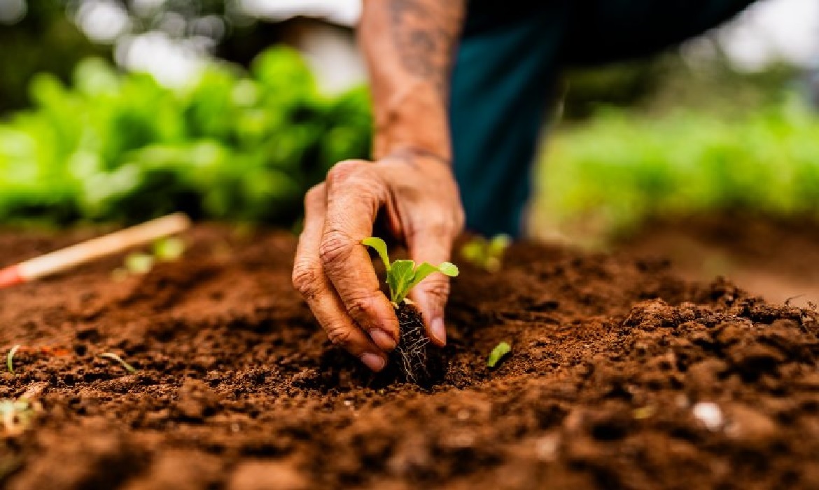Fundo Catástrofe poderá reunir seguradoras, cooperativas e empresas da cadeia do agronegócio