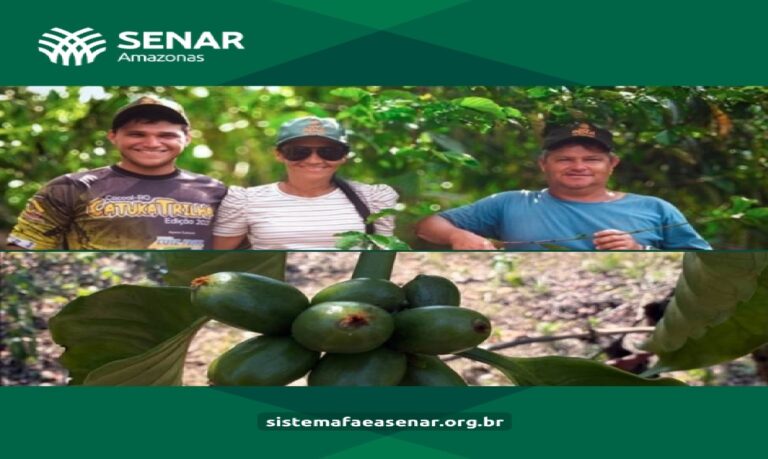 Produtor de Apuí recebe acompanhamento do Senar Amazonas desde 2024, com ações voltadas ao manejo e à melhoria da produção.
