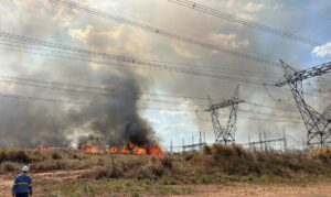 Incêndios florestais em Juruti, Medicilândia e Colares danificaram postes e deixaram cerca de 20 mil clientes sem luz em episódios recentes.
