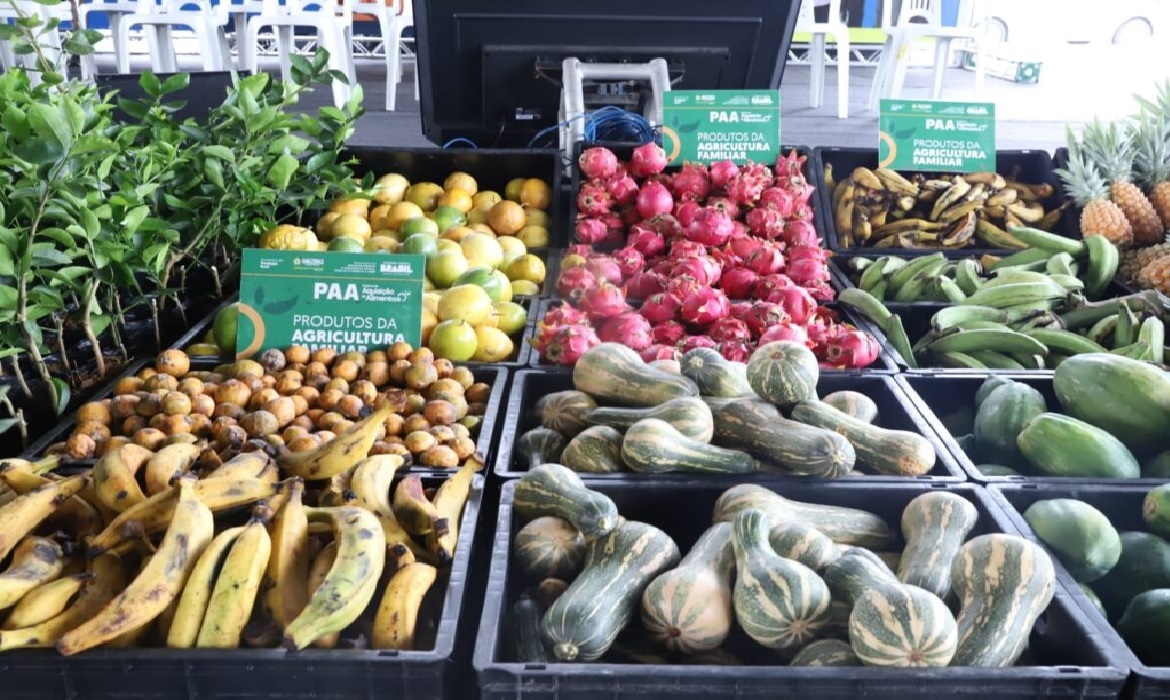 Ação contempla o Programa de Aquisição de Alimentos (PAA) e estabelece diretrizes para o credenciamento de entidades socioassistenciais.