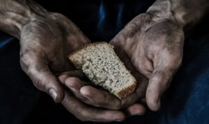 Evento no Senado celebra a cadeia de abastecimento e ONU abre concurso de cartazes para jovens de 5 a 19 anos com foco no tema “Inovar hoje para nutrir o amanhã”.