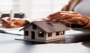 Número de participantes ativos chegou a 13,55 milhões, enquanto o segmento imobiliário apresentou avanço de 39,4% nas vendas de cotas.